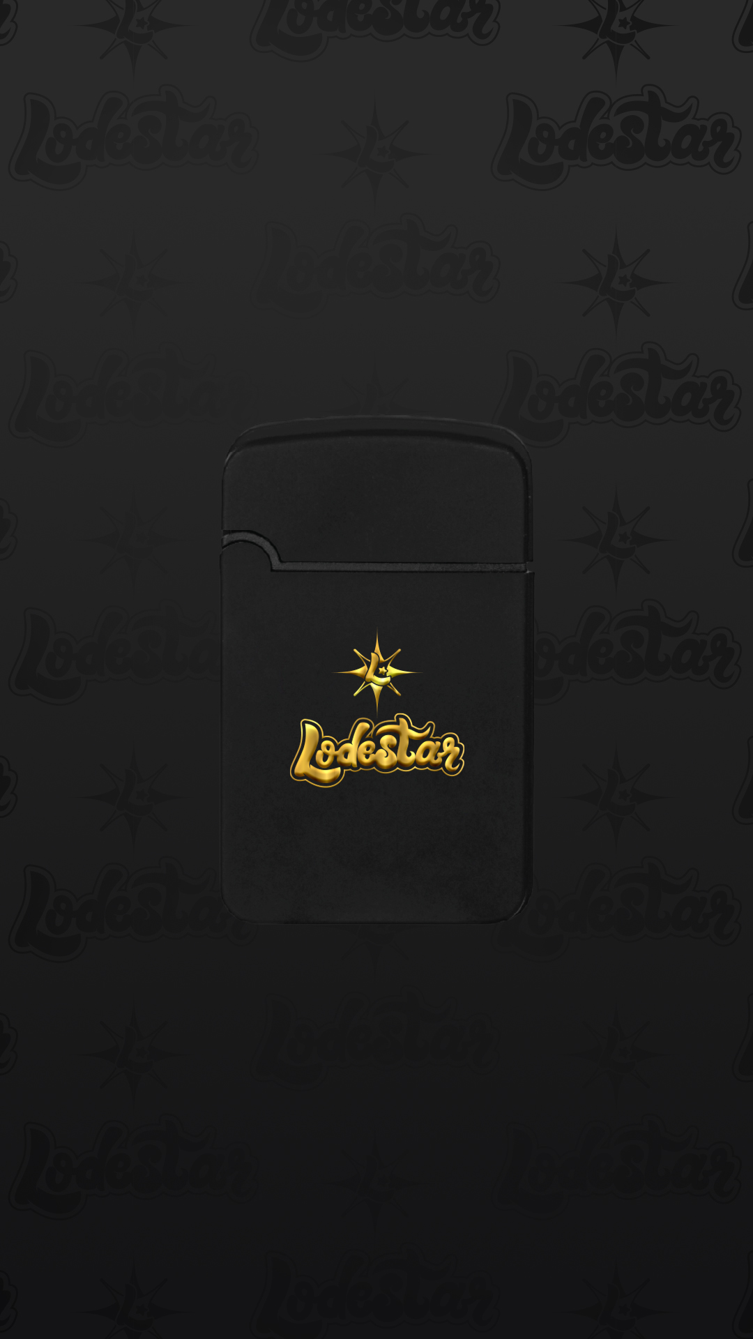 Torch Lighter